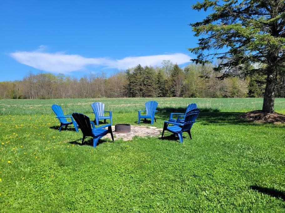 Family Friendly Cottage ☆Walking Distance To Beach Lion's Head Extérieur photo
