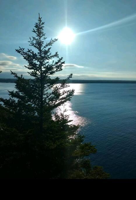 Family Friendly Cottage ☆Walking Distance To Beach Lion's Head Extérieur photo