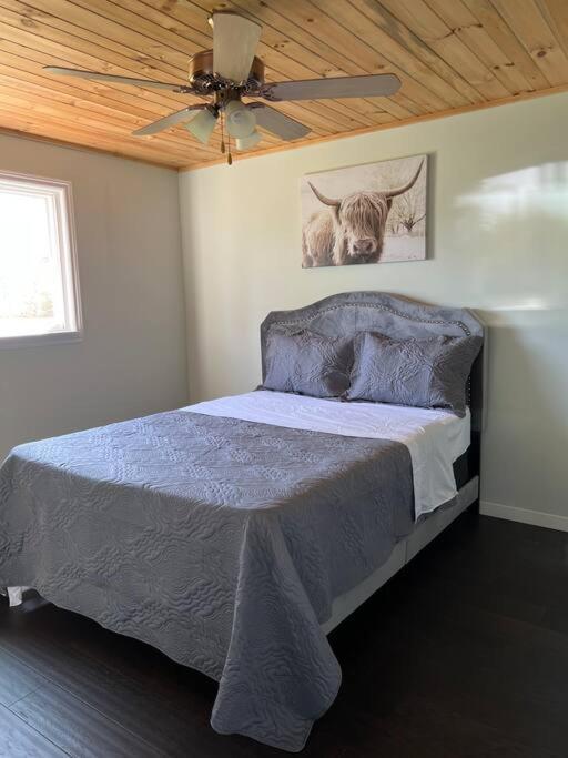 Family Friendly Cottage ☆Walking Distance To Beach Lion's Head Extérieur photo